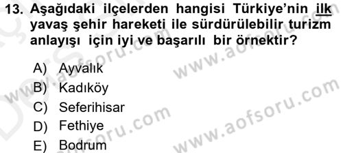 Turizm Sosyolojisi Dersi 2017 - 2018 Yılı 3 Ders Sınav Soruları 13. Soru