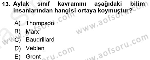 Turizm Sosyolojisi Dersi Ara Sınavı Deneme Sınav Soruları 13. Soru