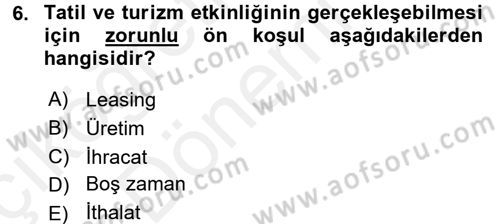 Turizm Sosyolojisi Dersi 2018 - 2019 Yılı (Vize) Ara Sınav Soruları 6. Soru
