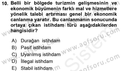 Turizm Sosyolojisi Dersi 2018 - 2019 Yılı (Final) Dönem Sonu Sınav Soruları 10. Soru