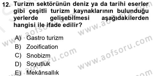 Turizm Sosyolojisi Dersi 2018 - 2019 Yılı (Final) Dönem Sonu Sınav Soruları 12. Soru