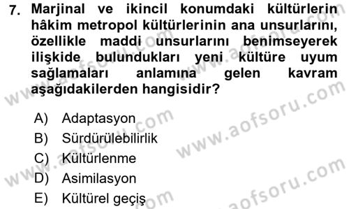 Turizm Sosyolojisi Dersi 2018 - 2019 Yılı (Final) Dönem Sonu Sınav Soruları 7. Soru