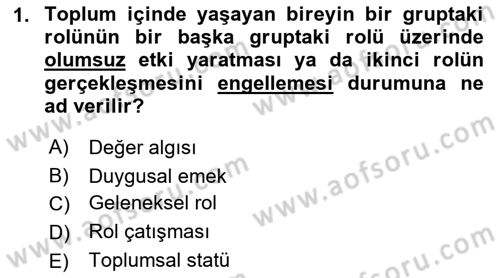 Turizm Sosyolojisi Dersi 2018 - 2019 Yılı Yaz Okulu Sınav Soruları 1. Soru