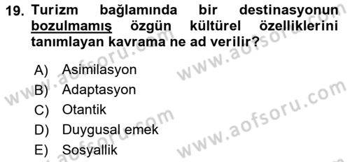 Turizm Sosyolojisi Dersi 2018 - 2019 Yılı Yaz Okulu Sınav Soruları 19. Soru