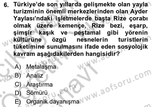 Turizm Sosyolojisi Dersi 2018 - 2019 Yılı Yaz Okulu Sınav Soruları 6. Soru