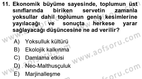 Turizm Sosyolojisi Dersi 2021 - 2022 Yılı (Final) Dönem Sonu Sınav Soruları 11. Soru