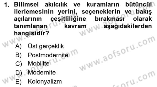 Turizm Sosyolojisi Dersi 2021 - 2022 Yılı Yaz Okulu Sınav Soruları 1. Soru