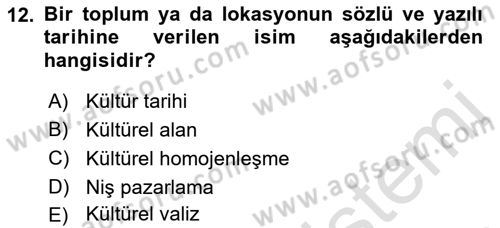 Turizm Sosyolojisi Dersi 2021 - 2022 Yılı Yaz Okulu Sınav Soruları 12. Soru