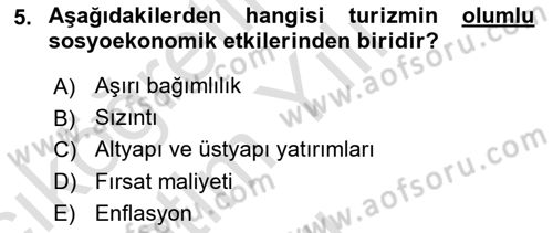 Turizm Sosyolojisi Dersi 2021 - 2022 Yılı Yaz Okulu Sınav Soruları 5. Soru