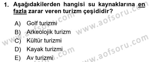 Turizm Sosyolojisi Dersi 2022 - 2023 Yılı (Final) Dönem Sonu Sınavı 1. Soru