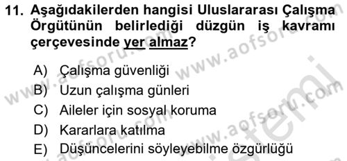 Turizm Sosyolojisi Dersi 2022 - 2023 Yılı (Final) Dönem Sonu Sınav Soruları 11. Soru