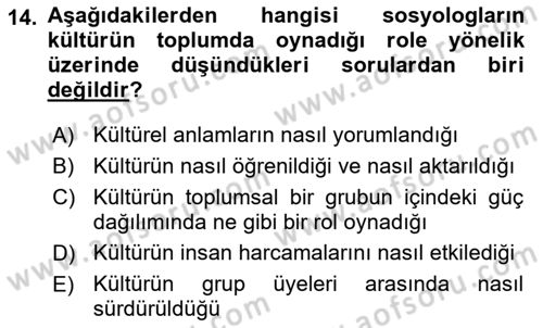 Turizm Sosyolojisi Dersi 2022 - 2023 Yılı (Final) Dönem Sonu Sınav Soruları 14. Soru