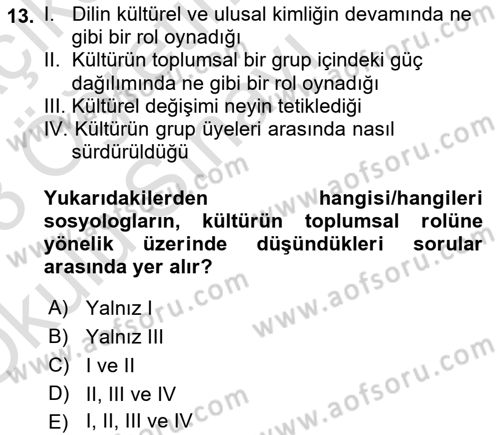 Turizm Sosyolojisi Dersi 2022 - 2023 Yılı Yaz Okulu Sınav Soruları 13. Soru