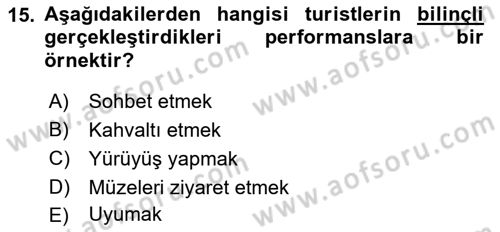 Turizm Sosyolojisi Dersi 2022 - 2023 Yılı Yaz Okulu Sınav Soruları 15. Soru