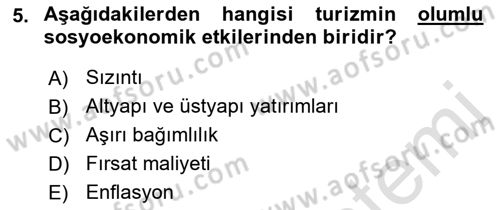 Turizm Sosyolojisi Dersi 2022 - 2023 Yılı Yaz Okulu Sınav Soruları 5. Soru