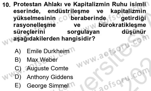 Turizm Sosyolojisi Dersi Ara Sınavı Deneme Sınav Soruları 10. Soru