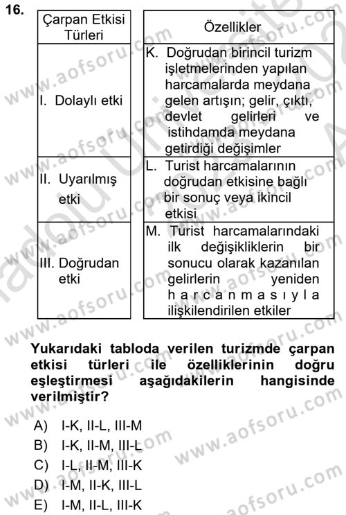 Turizm Sosyolojisi Dersi Ara Sınavı Deneme Sınav Soruları 16. Soru