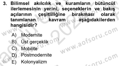 Turizm Sosyolojisi Dersi 2023 - 2024 Yılı (Vize) Ara Sınav Soruları 3. Soru