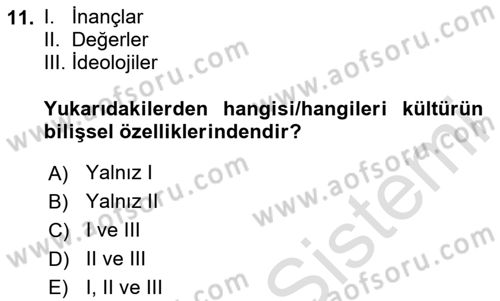 Turizm Sosyolojisi Dersi 2023 - 2024 Yılı Yaz Okulu Sınav Soruları 11. Soru