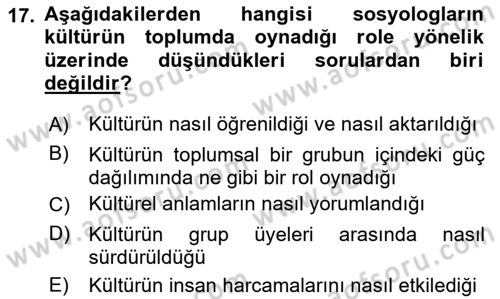 Turizm Sosyolojisi Dersi 2023 - 2024 Yılı Yaz Okulu Sınav Soruları 17. Soru