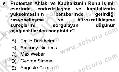 Turizm Sosyolojisi Dersi 2023 - 2024 Yılı Yaz Okulu Sınav Soruları 6. Soru