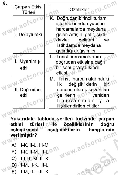 Turizm Sosyolojisi Dersi 2023 - 2024 Yılı Yaz Okulu Sınav Soruları 8. Soru