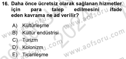 Turizm Sosyolojisi Dersi Ara Sınavı Deneme Sınav Soruları 16. Soru