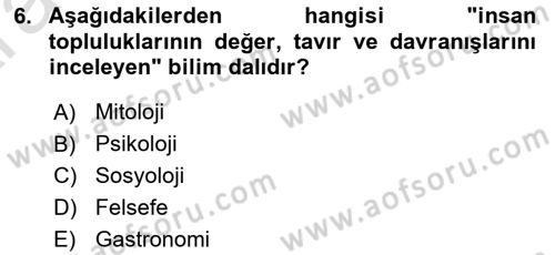 Turizm Sosyolojisi Dersi Ara Sınavı Deneme Sınav Soruları 6. Soru