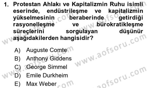 Turizm Sosyolojisi Dersi 2024 - 2025 Yılı (Final) Dönem Sonu Sınav Soruları 1. Soru
