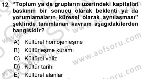 Turizm Sosyolojisi Dersi 2024 - 2025 Yılı (Final) Dönem Sonu Sınav Soruları 12. Soru