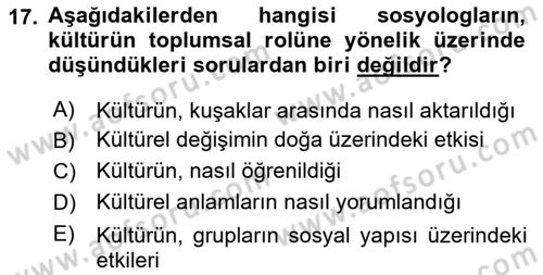 Turizm Sosyolojisi Dersi 2024 - 2025 Yılı (Final) Dönem Sonu Sınav Soruları 17. Soru