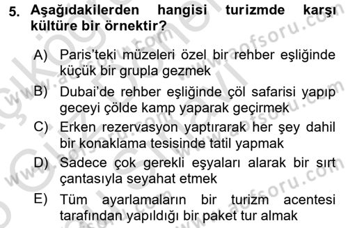 Turizm Sosyolojisi Dersi 2024 - 2025 Yılı (Final) Dönem Sonu Sınav Soruları 5. Soru