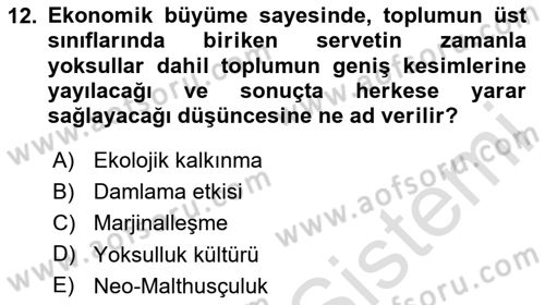Turizm Sosyolojisi Dersi 2024 - 2025 Yılı Yaz Okulu Sınav Soruları 12. Soru