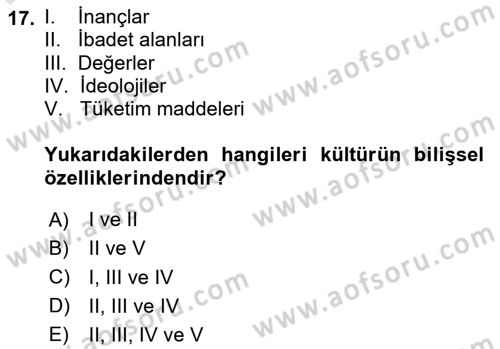 Turizm Sosyolojisi Dersi 2024 - 2025 Yılı Yaz Okulu Sınav Soruları 17. Soru