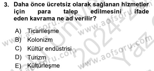 Turizm Sosyolojisi Dersi 2024 - 2025 Yılı Yaz Okulu Sınav Soruları 3. Soru