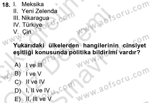 Turizm Sosyolojisi Dersi 2025 - 2026 Yılı (Final) Dönem Sonu Sınav Soruları 18. Soru