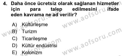 Turizm Sosyolojisi Dersi 2025 - 2026 Yılı (Final) Dönem Sonu Sınav Soruları 4. Soru
