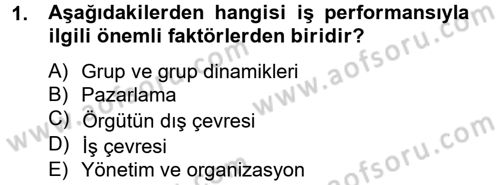 Örgütsel Davranış Dersi 2012 - 2013 Yılı (Vize) Ara Sınavı 1. Soru