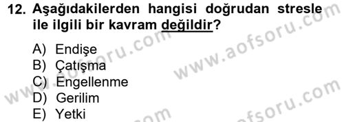 Örgütsel Davranış Dersi 2012 - 2013 Yılı (Final) Dönem Sonu Sınavı 12. Soru