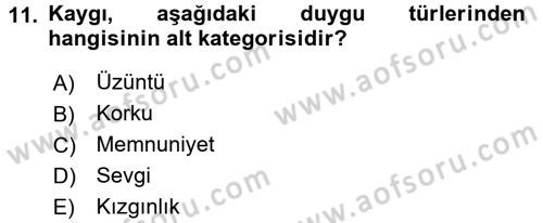 Örgütsel Davranış Dersi 2015 - 2016 Yılı (Vize) Ara Sınav Soruları 11. Soru