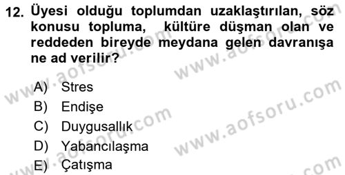 Örgütsel Davranış Dersi 2016 - 2017 Yılı (Final) Dönem Sonu Sınavı 12. Soru