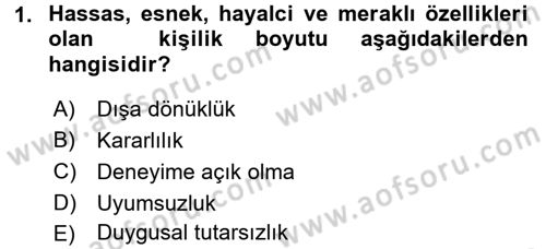 Örgütsel Davranış Dersi 2017 - 2018 Yılı (Final) Dönem Sonu Sınav Soruları 1. Soru