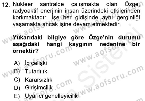 Örgütsel Davranış Dersi 2018 - 2019 Yılı (Vize) Ara Sınavı 12. Soru