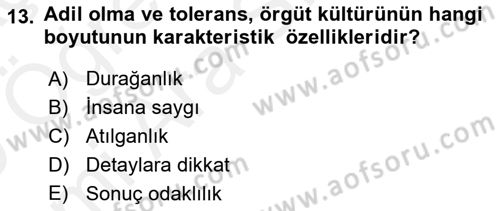 Örgütsel Davranış Dersi 2018 - 2019 Yılı (Vize) Ara Sınavı 13. Soru