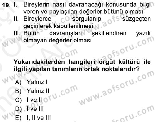 Örgütsel Davranış Dersi 2018 - 2019 Yılı (Vize) Ara Sınavı 19. Soru