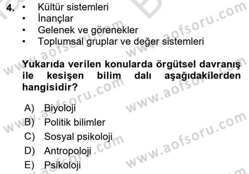 Örgütsel Davranış Dersi 2021 - 2022 Yılı (Vize) Ara Sınavı 4. Soru