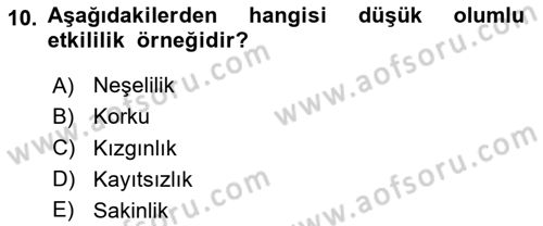 Örgütsel Davranış Dersi 2024 - 2025 Yılı (Vize) Ara Sınav Soruları 10. Soru