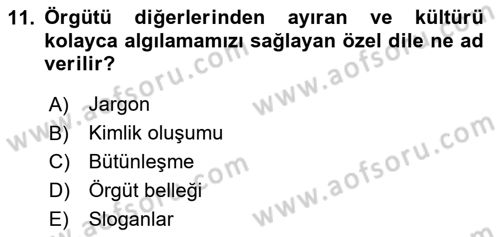 Örgütsel Davranış Dersi 2024 - 2025 Yılı (Vize) Ara Sınav Soruları 11. Soru
