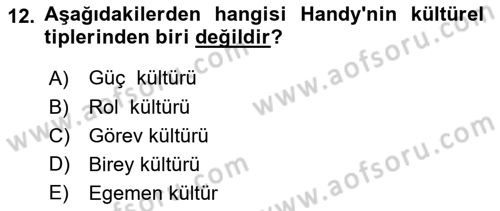 Örgütsel Davranış Dersi 2024 - 2025 Yılı (Vize) Ara Sınav Soruları 12. Soru