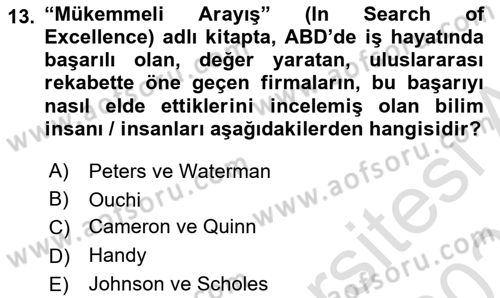 Örgütsel Davranış Dersi 2024 - 2025 Yılı (Vize) Ara Sınav Soruları 13. Soru